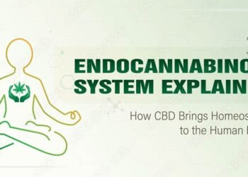 How the Endocannabinoid System Influences Your Health