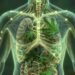Internal body network with glowing pathways and cannabis leaf hints.